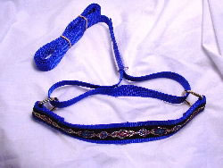 One inch wide martingale lead