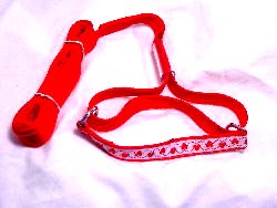 toy breed or puppy martingale lead
