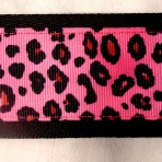 2MC831 Cheetah on Hot Pink