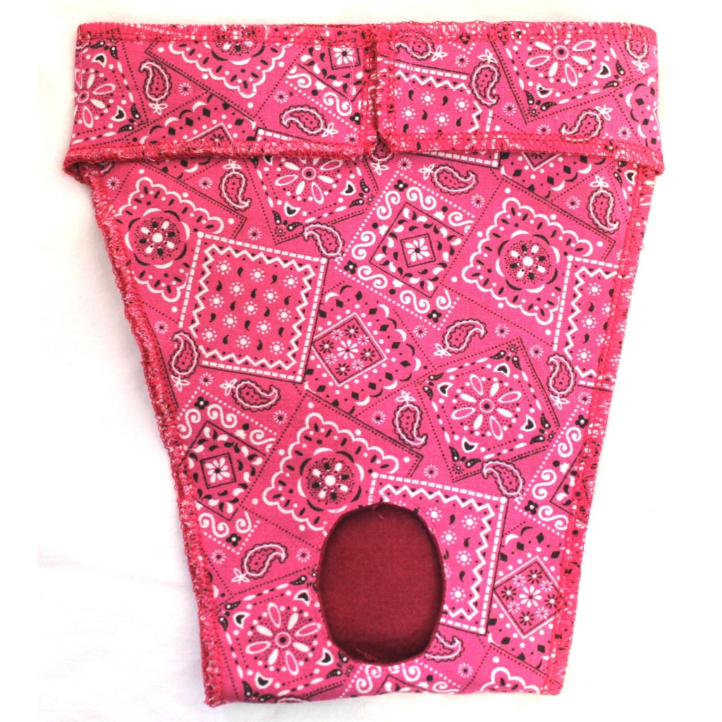 Bitches britches EP6037