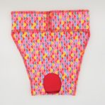 EP6101 Tiny Colorful Triangles Panty