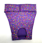 EP6148 Colorful Polk Dots On Purple Panty
