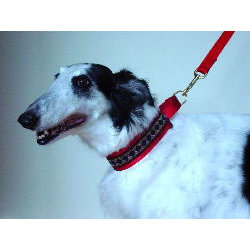 Wide Martingale Collars